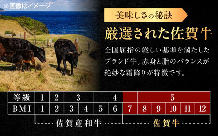 【3回定期便】佐賀牛 ロース 焼肉用 500g /MKミート武雄[UEM055]