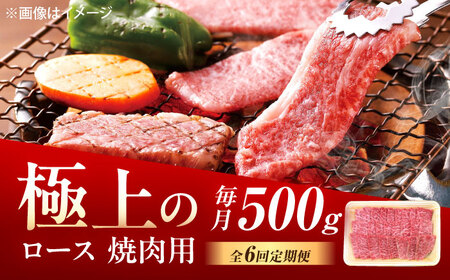 【6回定期便】佐賀牛 ロース 焼肉用 500g /MKミート武雄[UEM056]