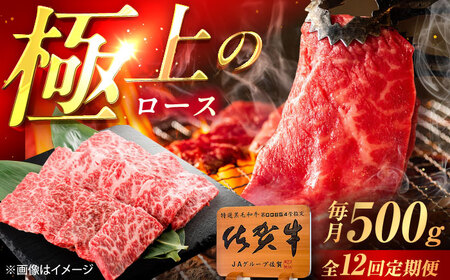 【12回定期便】佐賀牛 ロース 焼肉用 500g /MKミート武雄[UEM057]