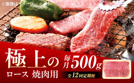 【12回定期便】佐賀牛 ロース 焼肉用 500g /MKミート武雄[UEM057]