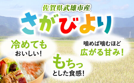 【3回定期便】令和7年産米 さがびより 白米 5kg /JA食糧さが[UDS005]