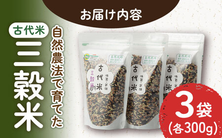 古代米入り自然栽培米‪ꕤ玄米ꕤ 5kg×4 農薬肥料動物性堆肥一切不使用-‬