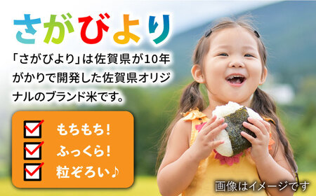 【特A評価15年連続！】令和6年産 さがびより 10kg（5kg×2袋）/肥前糧食株式会社【配送エリア限定】 [UCL002] さがびより さがびより白米 お米 さがびより5kg