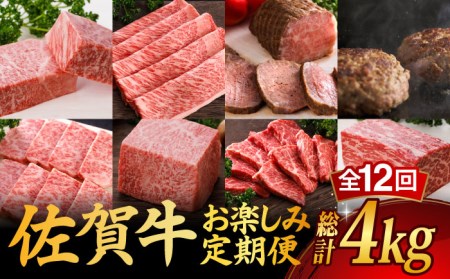 【全12回】 A5ランク 佐賀牛 霜降り食べ比べ定期便 約2人前 総計4kg 20万 /焼肉どすこい [UCC002] 佐賀牛 佐賀牛ステーキ 佐賀牛スライス ローストビーフ 佐賀牛ハンバーグ