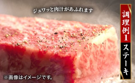 【全12回】 A5ランク 佐賀牛 霜降り食べ比べ定期便 約2人前 総計4kg 20万 /焼肉どすこい [UCC002] 佐賀牛 佐賀牛ステーキ 佐賀牛スライス ローストビーフ 佐賀牛ハンバーグ