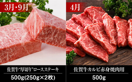 【全12回】佐賀牛 霜降り 食べ比べ 牛肉定期便 約2-3人前 総計6.8kg UCC004