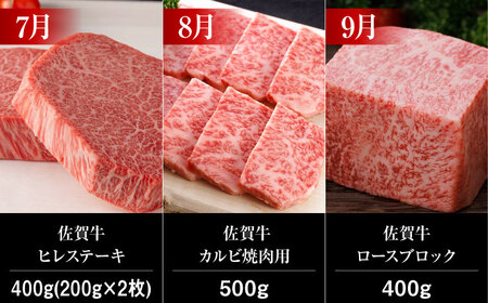 【全12回】佐賀牛 霜降り 食べ比べ 牛肉定期便 約2-3人前 総計5.52kg UCC005