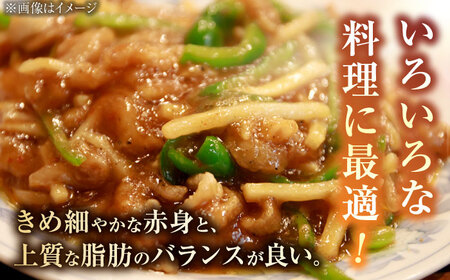 佐賀牛 牛肉切り落とし 460g /焼肉どすこい [UCC010] 牛肉切り落とし