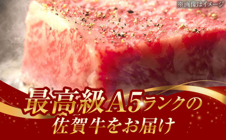 佐賀牛 サーロインステーキ 380g (190g×2枚) /焼肉どすこい[UCC015] ステーキ