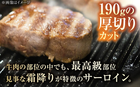 佐賀牛 サーロインステーキ 380g (190g×2枚) /焼肉どすこい[UCC015] ステーキ