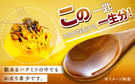 【コクと味わい深い甘み】日本蜜蜂 百花 はちみつ 計400g（200g×2）純粋蜂蜜 /永尾 忠則 [UAS004] ハチミツ はちみつ 蜂蜜 国産 純粋 百花蜜 日本みつばち ハニー