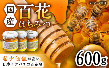 コクと味わい深い甘み】日本蜜蜂 百花 はちみつ 計600g（200g×3）純粋蜂蜜 /永尾 忠則 [UAS005] ハチミツ 蜂蜜 国産 純粋 百花蜜  日本みつばち ハニー | 佐賀県武雄市 | ふるさと納税サイト「ふるなび」