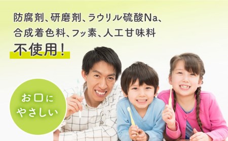 武雄市産レモングラス歯磨きジェル 604fresh【やさしいみがき心地】 [UBC001] 歯磨き粉 はみがき粉 ハミガキ粉 はみがきジェル レモングラス