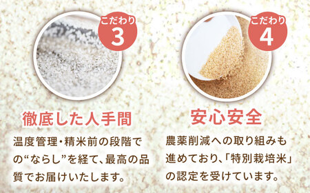 年内発送 さがびより 白米 5kg /江口農園 [UBF003] 白米