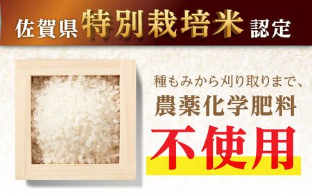 【安心安全の特別栽培米！】令和6年産 新米 さがびより 10kg（2kg×5） 武雄市橘産 /よしたか農園 [UCY003] 白米 米 お米 こめ 白米 精米 ブランド米