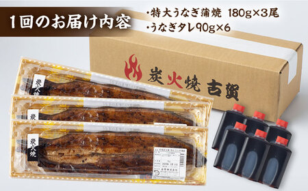 【12回定期便】 国産 うなぎ 本格炭火焼 蒲焼 3尾（140g×2 / 特大180g×1） /炭火焼古賀 [UDH016] 手焼きうなぎ 特大うなぎ 蒲焼うなぎ うなぎ3尾 うなぎ計36尾 冷凍うなぎ ウナギ 鰻 タレ付きうなぎ うなぎ蒲焼き お取り寄せうなぎ グルメ ギフト 贈答 お祝い 丑の日 武雄市うなぎ うなぎ定期便