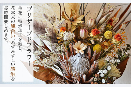 プリザーブドフラワー ビタミンカラーのプロテアスワッグ /はなぜん [UDC002] 壁飾り 花 インテリア プレゼント ギフト