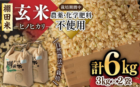ブランド兵庫県産 ヒノヒカリ 栽培期間中農薬不使用