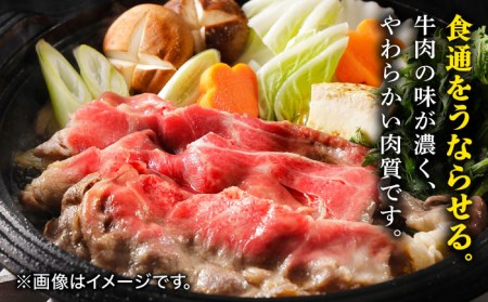 【6回定期便・偶数月にお届け】佐賀牛 A5 すき焼き しゃぶしゃぶ 600g ウデ /焼肉どすこい [UCC017] 佐賀牛 牛肉 黒毛和牛 佐賀牛すき焼き 佐賀牛しゃぶしゃぶ 佐賀牛600g 佐賀牛ウデ 佐賀牛赤身 佐賀牛うで 佐賀牛A5ランク A5佐賀牛 最高級佐賀牛 佐賀牛定期便