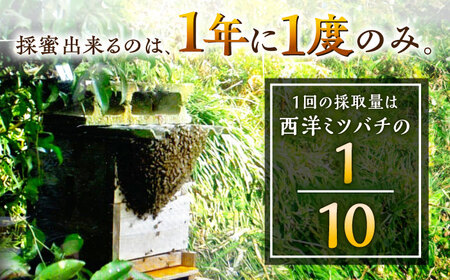 【コクと味わい深い甘み】日本蜜蜂 百花 はちみつ 300g /永尾 忠則 [UAS009] ハチミツ 蜂蜜 国産 純粋 百花蜜 日本みつばち ハニー