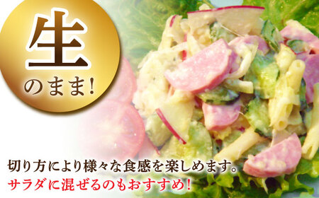 ボロニアソーセージ 100g×7本 /宮地ハム [UBM010]ソーセージ