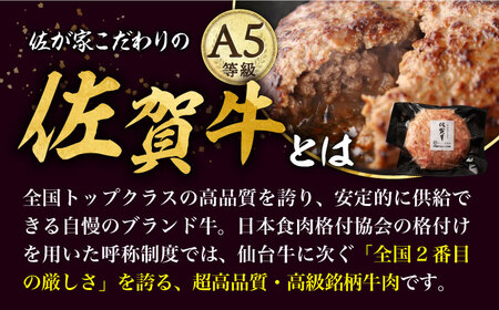 佐賀牛 若楠三元豚のハンバーグ 食べ比べセット 計8個 /ナチュラルフーズ [UBH051]  ハンバーグ