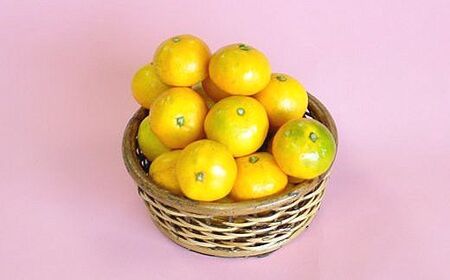 先行予約】やーらしか鹿島産みかん 12kg｜【数量限定】小粒サイズ ご