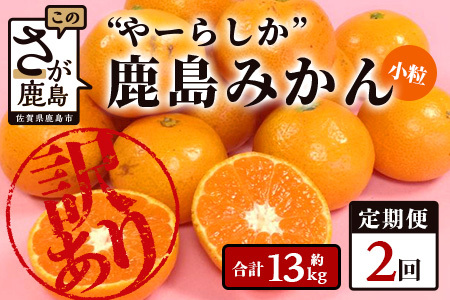 2回定期【訳あり】”やーらしか”鹿島産みかん 約6.5kg ×2回 【配送期日指定不可】佐賀県 鹿島市産 温州ミカン 旨み凝縮 小粒みかん B-714