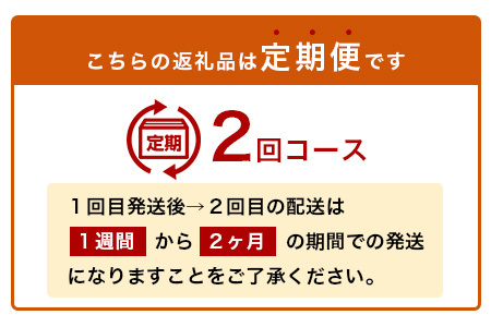 2回定期【訳あり】”やーらしか”鹿島産みかん 約6.5kg ×2回 【配送期日指定不可】佐賀県 鹿島市産 温州ミカン 旨み凝縮 小粒みかん B-714