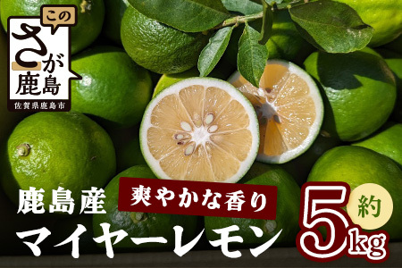 【産地直送】【農家直送】【予約受付】佐賀県鹿島市産　マイヤーレモン　5kg サイズ混合【９月～2月頃まで配送】 B-726