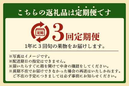 【定期便 3回】鹿島からお届けフルーツ定期便 3ヶ月 果物 いちご イチゴ 苺 なし 梨 みかん 柑橘 くだもの セット バラエティ E-132