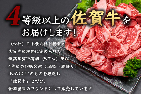 【定期便12回】佐賀牛 バラエティ 定期便 肩ロース モモ 切落し サイコロステーキ 焼肉 ローストビーフ V-48