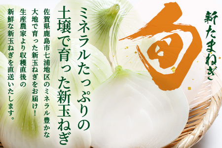 甘～い！新鮮！新たまねぎ 約10kg (MLサイズ）生産者直送！★大自然育ち【2026年4月より順次発送】タマネギ 玉葱 新タマ 新玉ねぎ サラダ 惣菜 お料理 ストック 箱買 美味しい 甘い 常備野菜 佐賀県 鹿島市産 人気 送料無料 B-737
