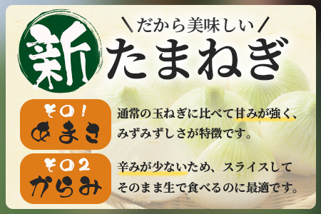 甘～い！新鮮！新たまねぎ 約10kg (MLサイズ）生産者直送！★大自然育ち【2026年4月より順次発送】タマネギ 玉葱 新タマ 新玉ねぎ サラダ 惣菜 お料理 ストック 箱買 美味しい 甘い 常備野菜 佐賀県 鹿島市産 人気 送料無料 B-737