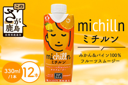 果汁ミックスジュース　ミチルン　330ml×12本　B-763