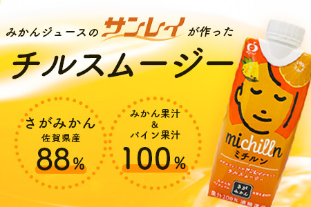 果汁ミックスジュース　ミチルン　330ml×12本　B-763