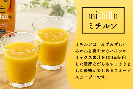 果汁ミックスジュース　ミチルン　330ml×12本　B-763