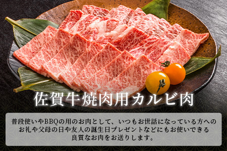 【最速！1週間以内発送！】佐賀牛 最上級Ａ５ランク カルビ焼き肉用400ｇ 牛肉 国産 佐賀県産 鹿島市 カルビ カルビ焼き肉用 BBQ ご褒美 最速 送料無料 年内発送の受付【12月25日迄】年明け発送【2026年1月8日より順次開始】C-121