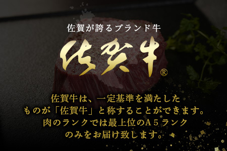 佐賀牛 最高級部位『シャトーブリアン』800g(200g×4枚)N-19