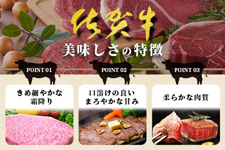 \極上のご褒美肉!/佐賀牛サーロインステーキ 200g×3枚|A5・A4等級 厳選黒毛和牛|とろける霜降り 高級ステーキ|贈答・ギフト対応可|国産牛|佐賀県鹿島市 送料無料 E-148
