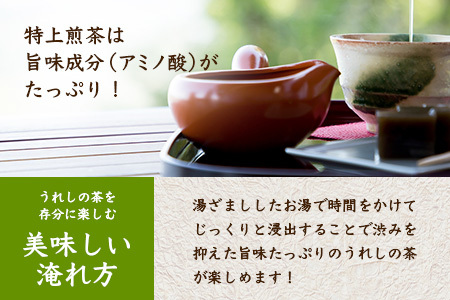 うれしの茶 特上煎茶「金」 90g × 1本（リーフ）A-199 茶葉 煎茶 緑茶 日本茶 佐賀