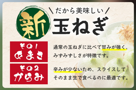 【予約受付】鹿島市産 新玉ねぎ 合計10kg B-842 たまねぎ 玉葱 サラダ 料理【2026年4月中旬より順次発送】