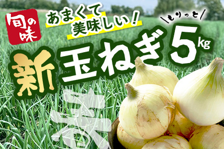【予約受付】鹿島市産 新玉ねぎ 合計5kg A-207 たまねぎ 玉葱 サラダ 料理【2026年4月中旬より順次発送】