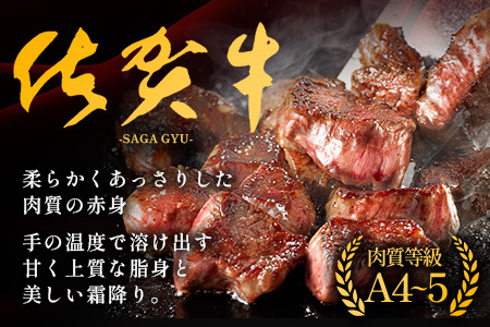 佐賀牛サイコロステーキ 500g（バラ、モモ、ウデ）　B-830
