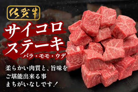 佐賀牛サイコロステーキ 500g（バラ、モモ、ウデ）　B-830