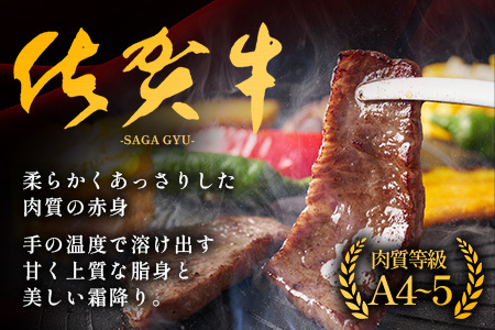 佐賀牛 焼肉 セット 小肉 500g ( カルビ ロース ) 黒毛和牛 詰め合わせ 焼肉セット B-840