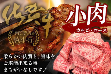 佐賀牛 焼肉 セット 小肉 500g ( カルビ ロース ) 黒毛和牛 詰め合わせ 焼肉セット B-840