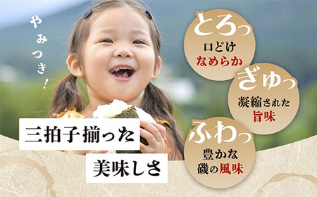 【初摘み海苔100%】佐賀のり 初摘み海苔（塩のり 焼のり 味のり）2切 5枚入 各1袋 A-208 のり 海苔 初摘みのり