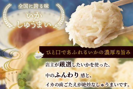 逸品｜いかしゅうまい10個入×2P｜贅沢ないかの旨みたっぷり！｜本格シュウマイ｜冷凍配送・簡単調理｜佐賀県鹿島市｜送料無料　A-195