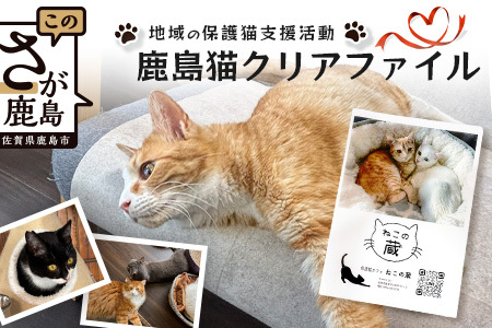 鹿島猫クリアファイル｜保護猫カフェねこの蔵 クリアファイル 保護猫 猫 古民家カフェ 支援 鹿島市 猫カフェ カフェ プレゼント　AA-63